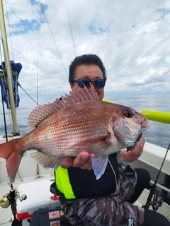 タイの釣果