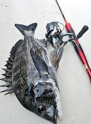 田辺運河