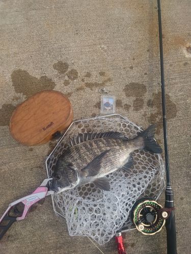 FISHING POOL PARK INAGE