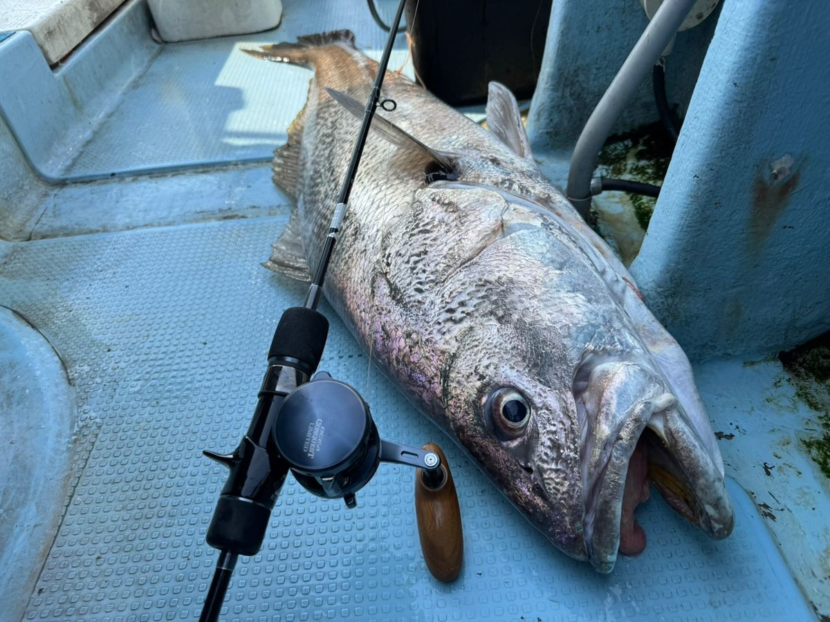 ゆうAnglers-connectionさんの釣果 2枚目の画像