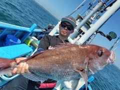 マダイの釣果