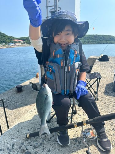 オキナメジナの釣果