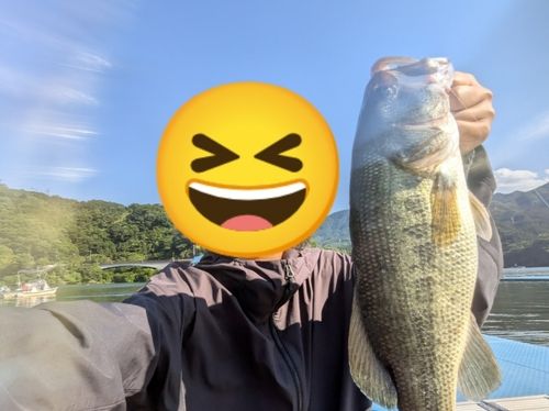 ラージマウスバス