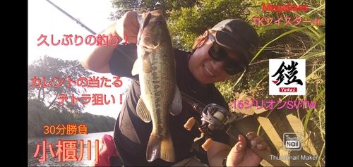 ブラックバスの釣果