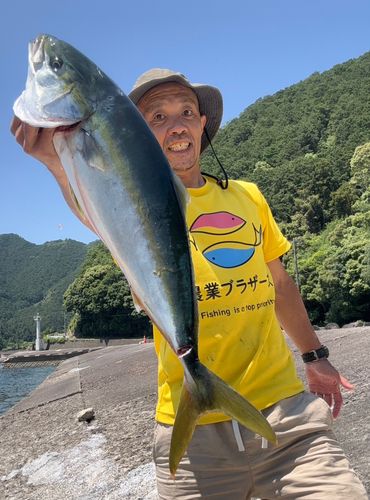 メジロの釣果
