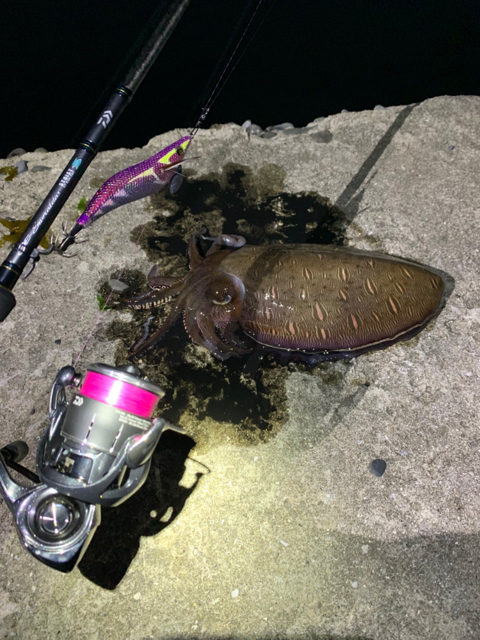 DAIWA 23エメラルダス ストイスト ST（アウトガイドモデル） 83M
