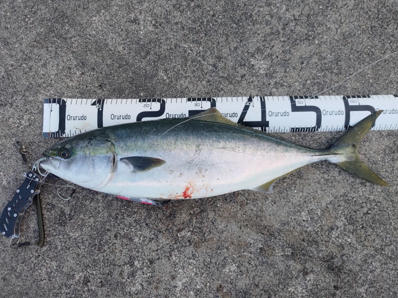 Angler's Republic ショアガン エボルブ SFSGS-106XXH・BLの