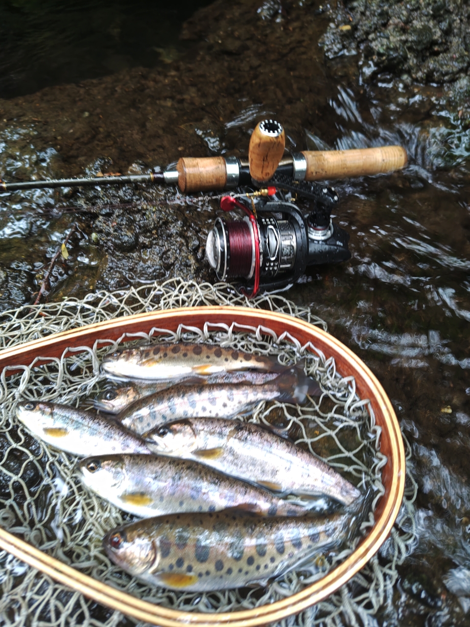 SHIMANO 17トラウトワン NS S411Lの最安値・インプレ・釣果