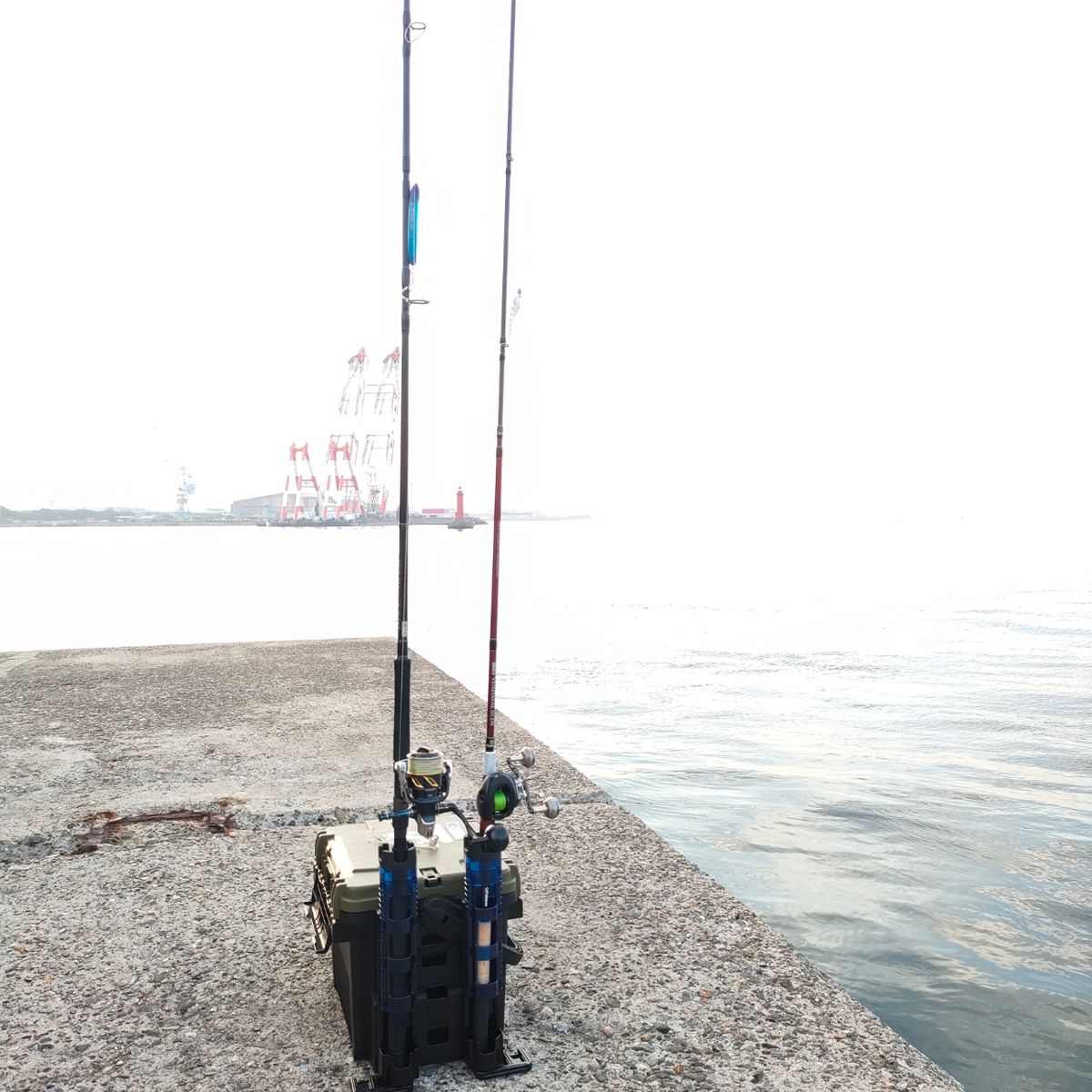 momomo MOAIさんの釣果 2枚目の画像