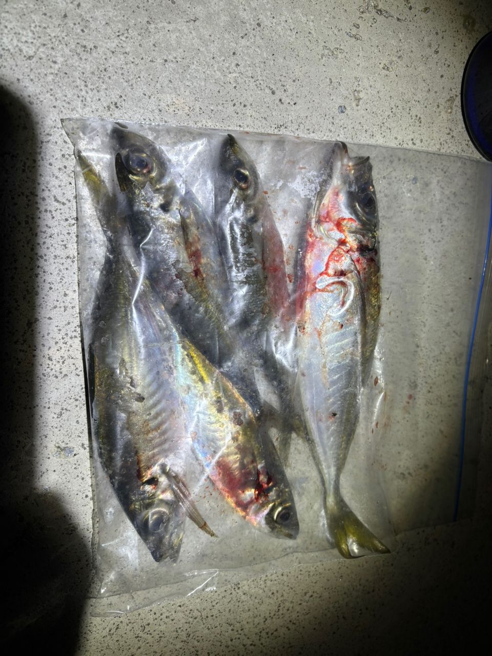 アジ