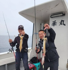 ケンサキイカの釣果