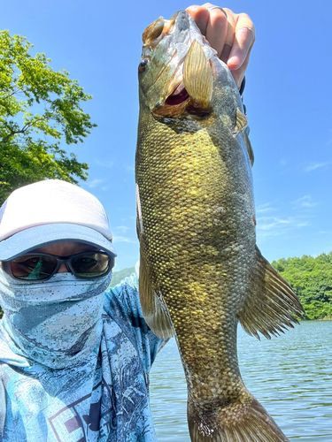 スモールマウスバス