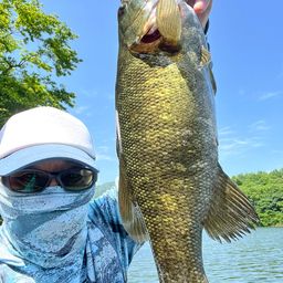 スモールマウスバス