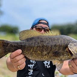 スモールマウスバス