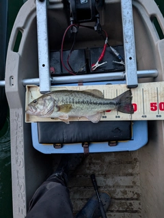 釣果