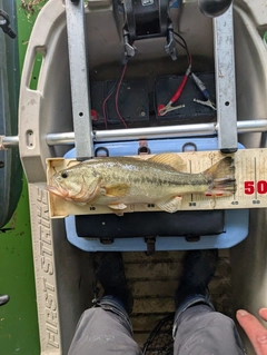 釣果