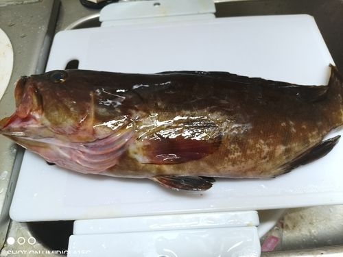 クエ