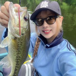 ラージマウスバス