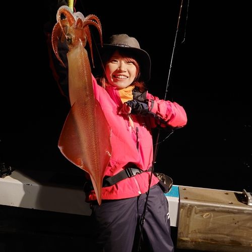 ヤリイカの釣果