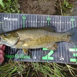 スモールマウスバス