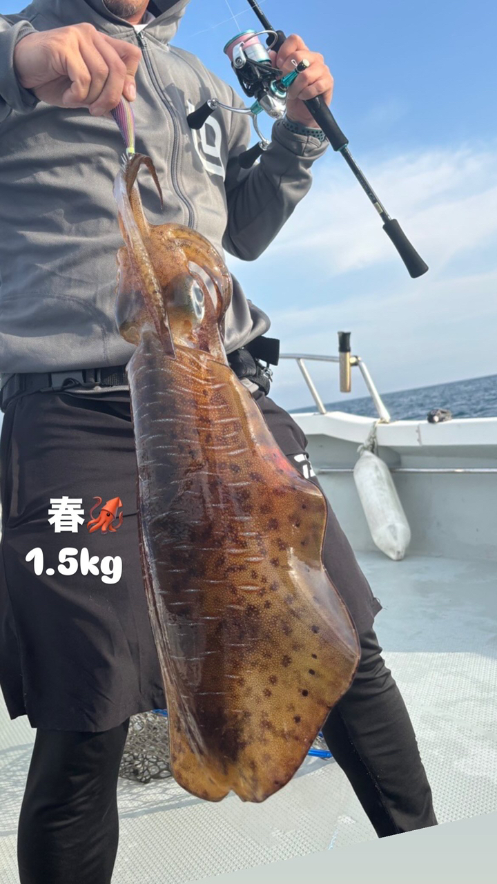 DAIWA 21エメラルダス X ボート 65MLS-Sの最安値・インプレ
