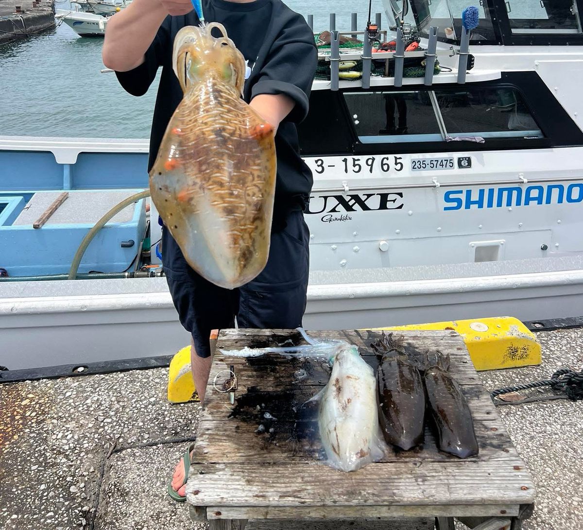 煽烏賊と釣旅さんの釣果 1枚目の画像