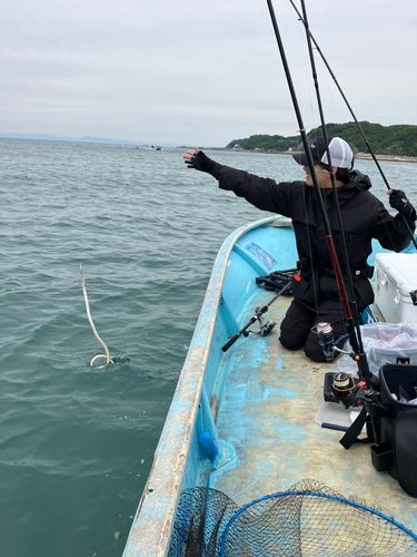 ダイナンウミヘビの釣果