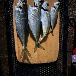 アジ