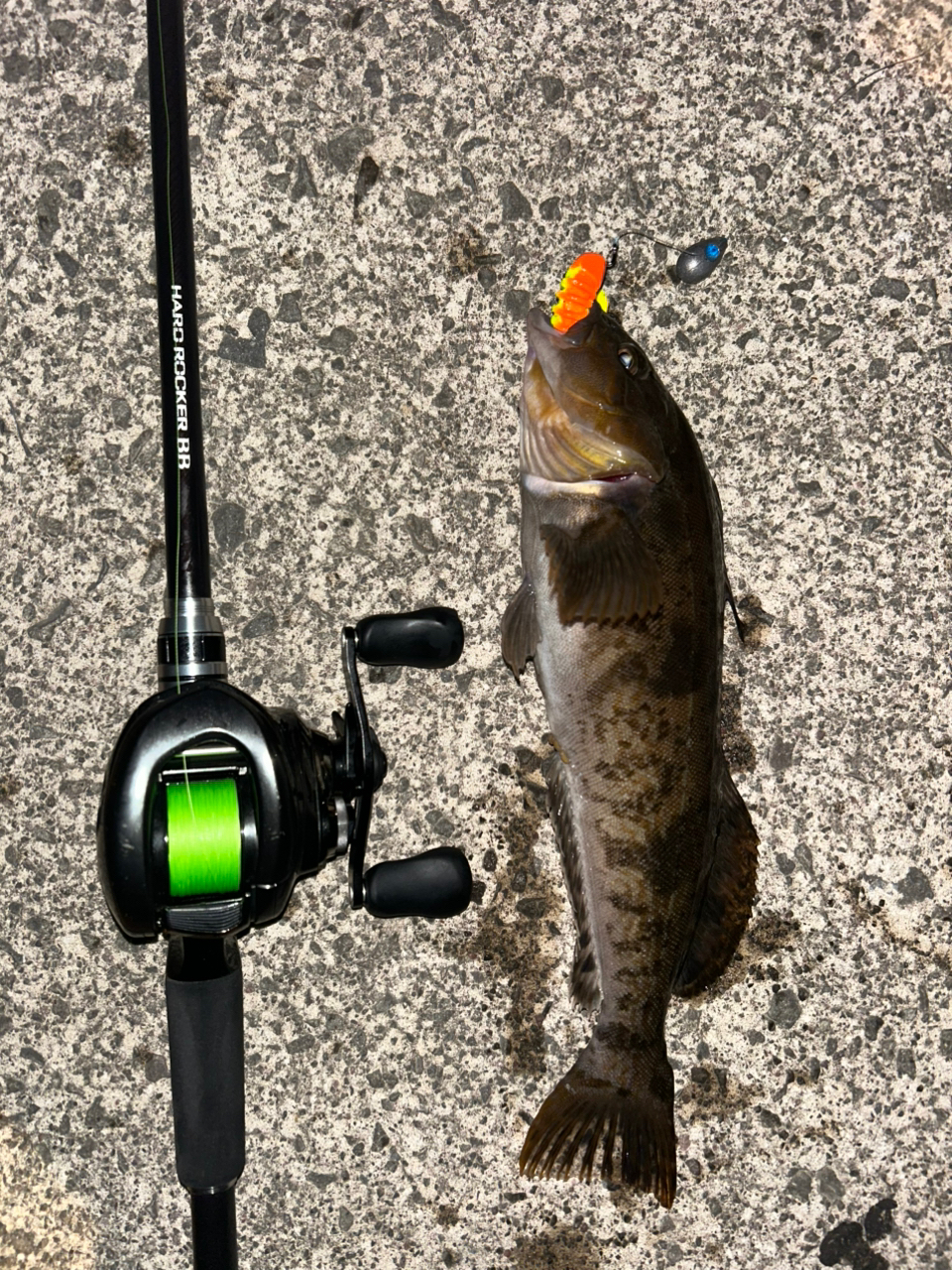 SHIMANO 19ハードロッカー BB B76MHの最安値・インプレ・釣果