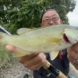 スモールマウスバス