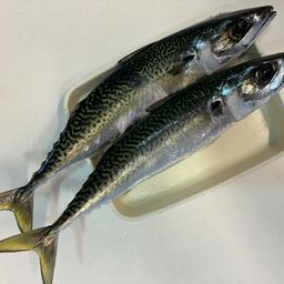 サバ