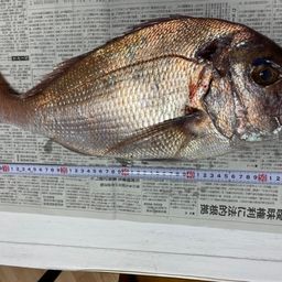タイ