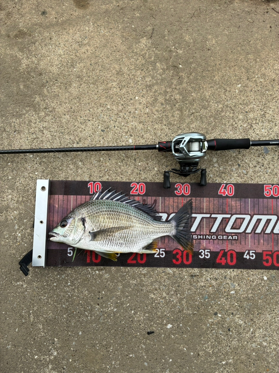 SHIMANO 20ゾディアス 1610M-2の最安値・インプレ・釣果 | 本音