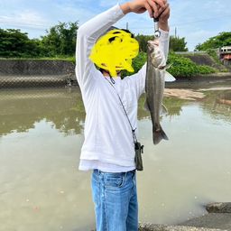 シーバス