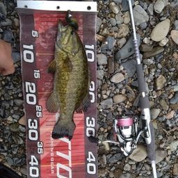 スモールマウスバス