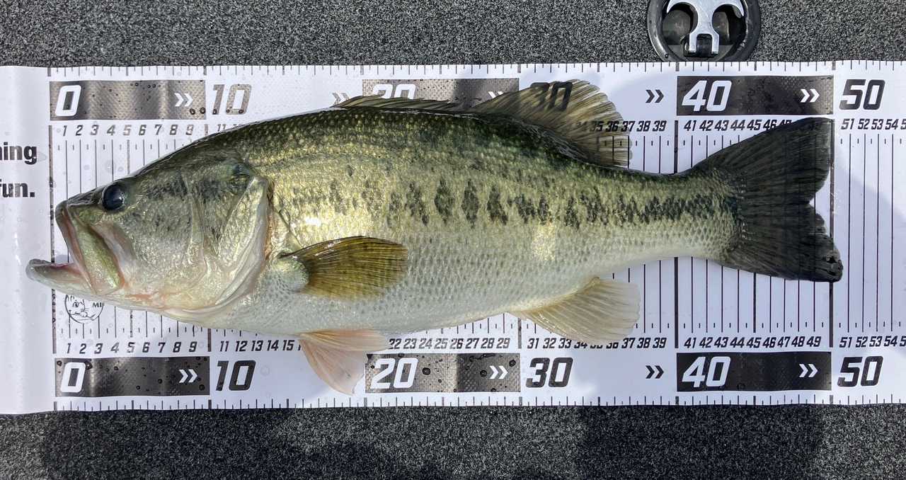 シマノ シマノ／SHIMANO エクスプライド 164L-BFS
