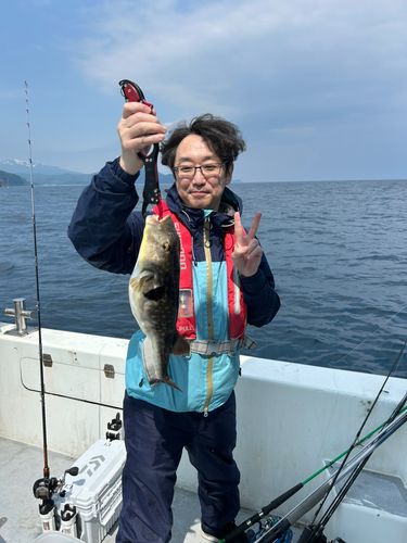 フグの釣果