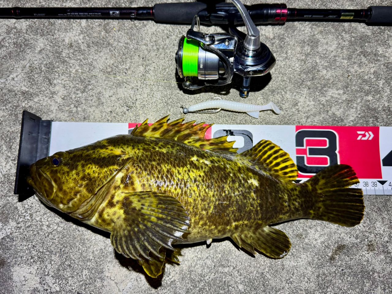 DAIWA 19HRF® (ハードロックフィッシュ) AGS 86Mの最安値