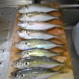 アジ