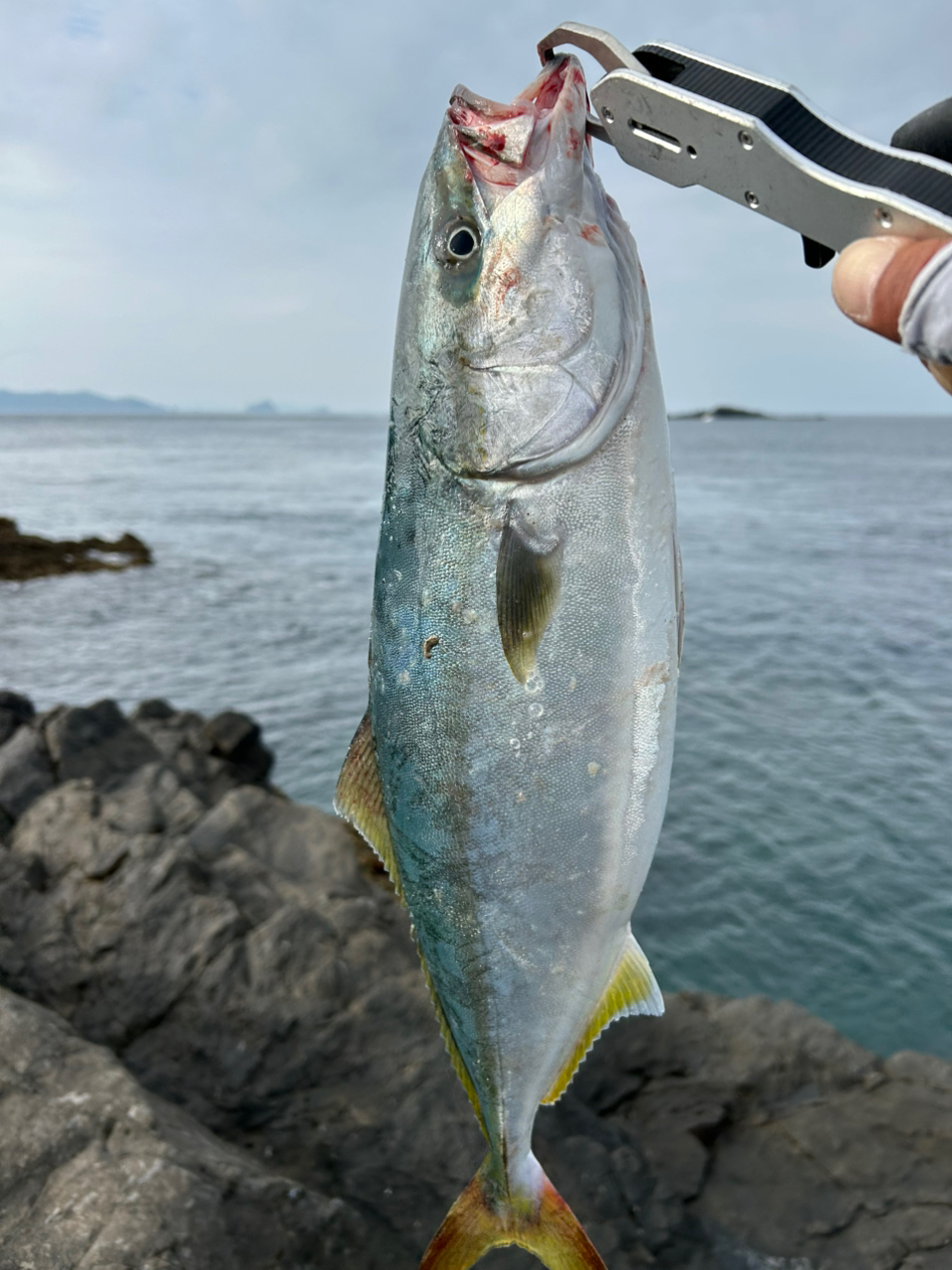 メジャークラフト クロスライド 5G XR5-1002M/LSJ ｜アウトドア