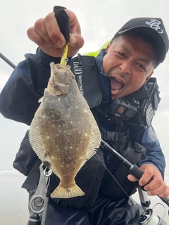 ヒラメの釣果