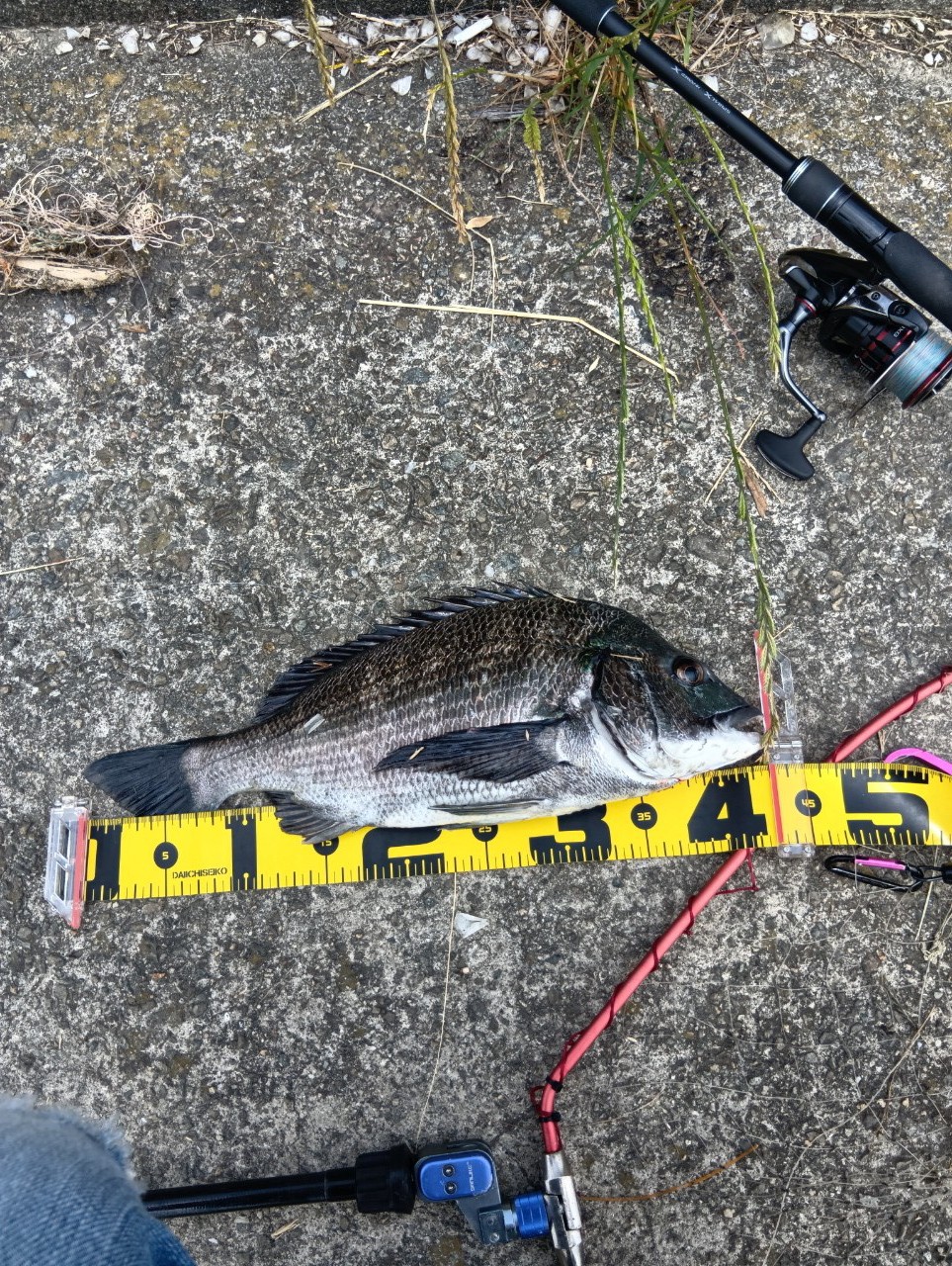 SHIMANO 18ディアルーナ S96MLの最安値・インプレ・釣果 | 本音