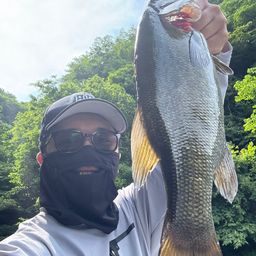 スモールマウスバス