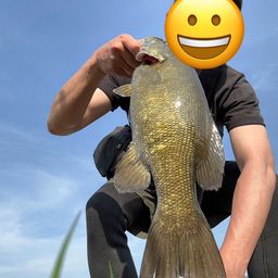 スモールマウスバス