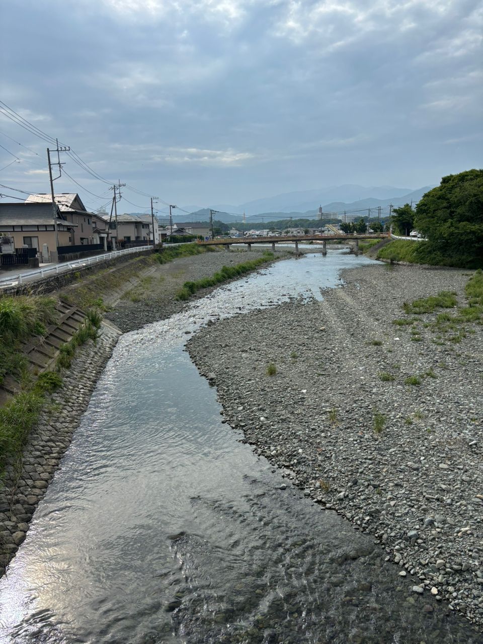 アユ