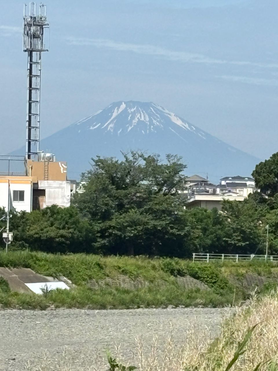 アユ
