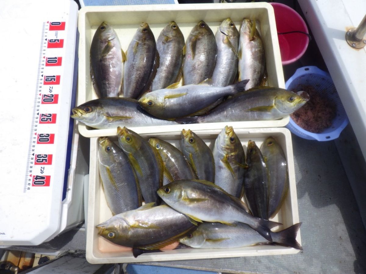 石川釣船@船長さんの釣果 2枚目の画像