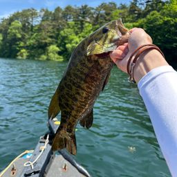 スモールマウスバス