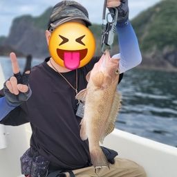 オオモンハタ