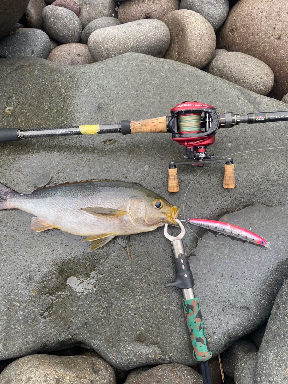AbuGarcia エラディケーター ロックスイーパー ERSC-1004XXXHの